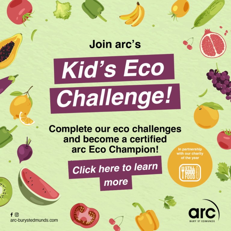 Kid's Eco Challenge graphic
